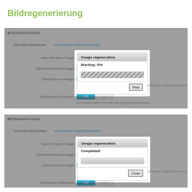PrestaShop-Modul Thumbnails / Bilder neu generieren – Screenshot 3