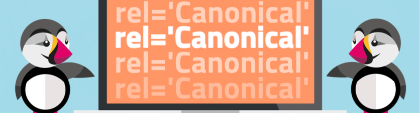 Etiqueta Canonical en PrestaShop: ¡Evita el contenido duplicado!